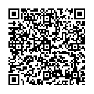 QR code for Green Fiji test results PDF