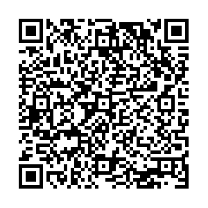 QR code for Red Fiji test results PDF