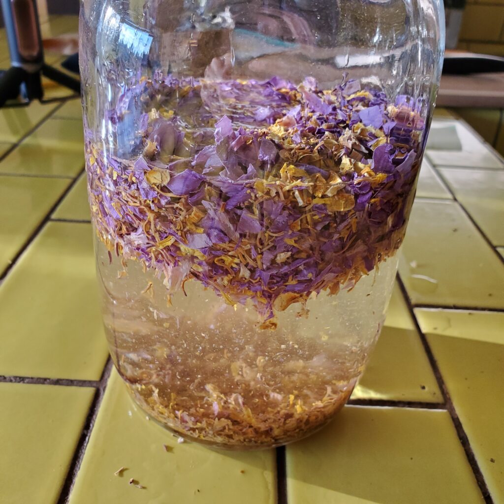 Jar of Blue Lotus Flowers soaking in alcohol mixture