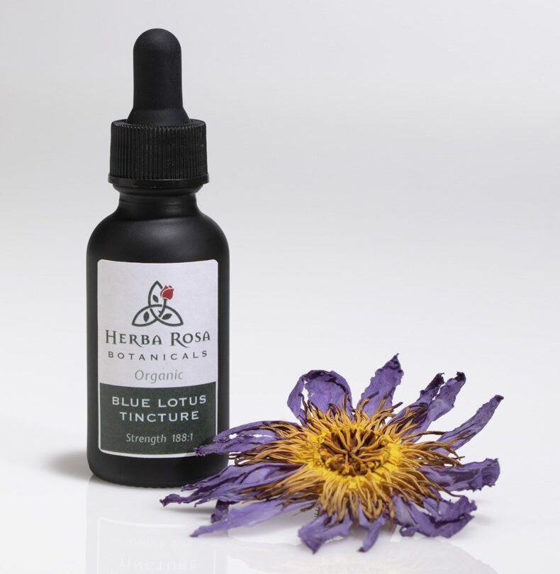 Blue Lotus max strength tincture from Herba Rosa with a blue lotus flower in front of it