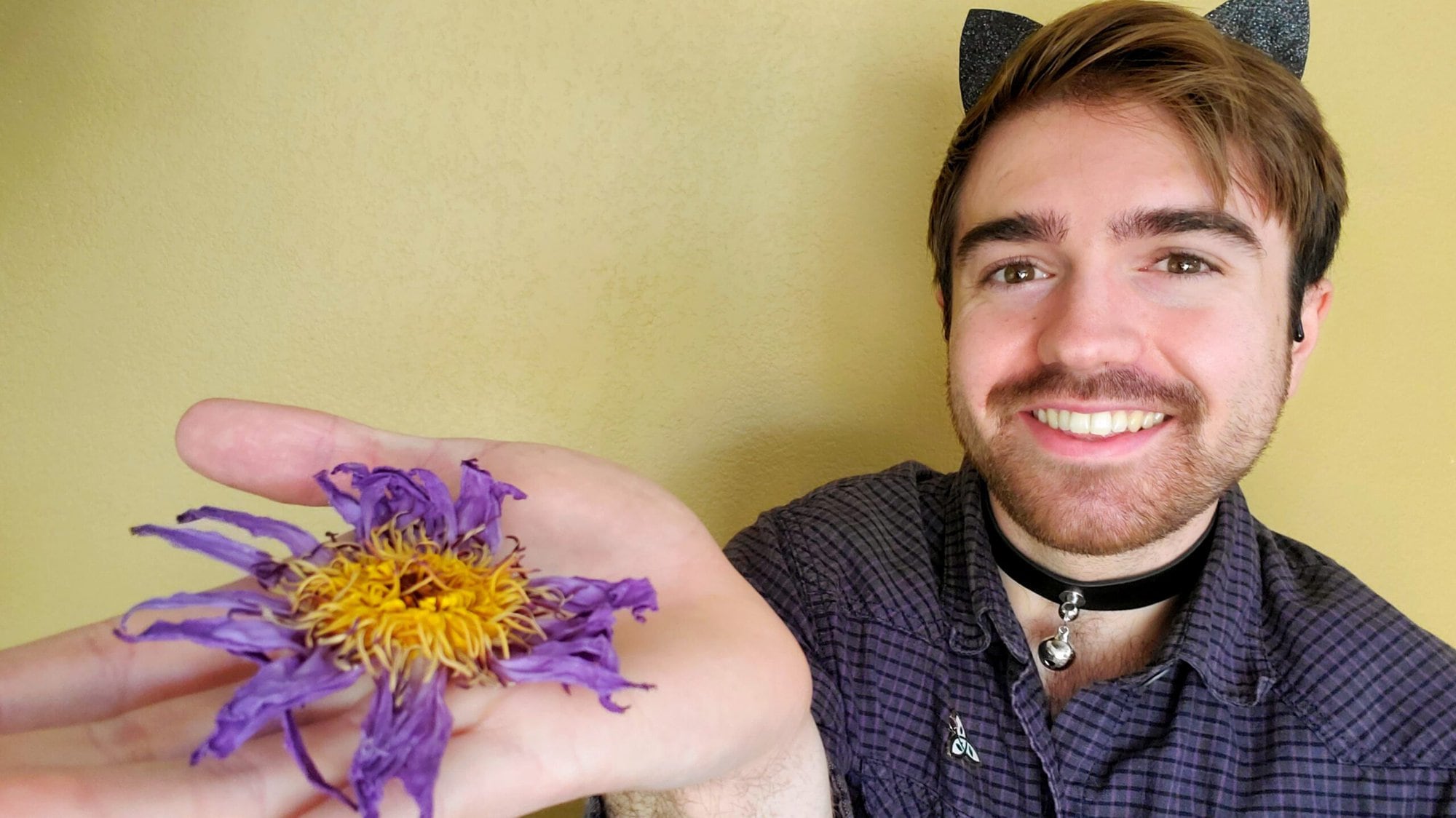 Sober Catboy holding a dry blue lotus flower in his hand