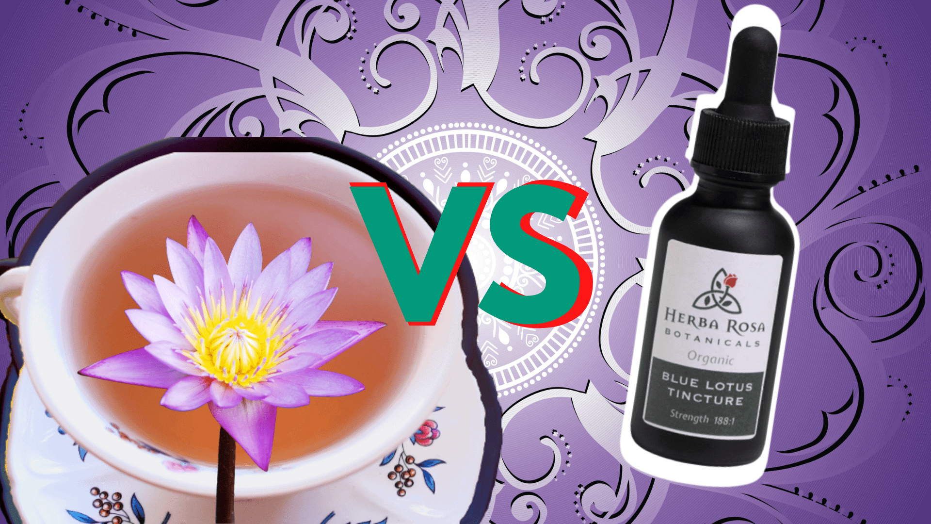 Blue Lotus tea vs Blue Lotus Tincture - which is better at helping you lucid dream easily?