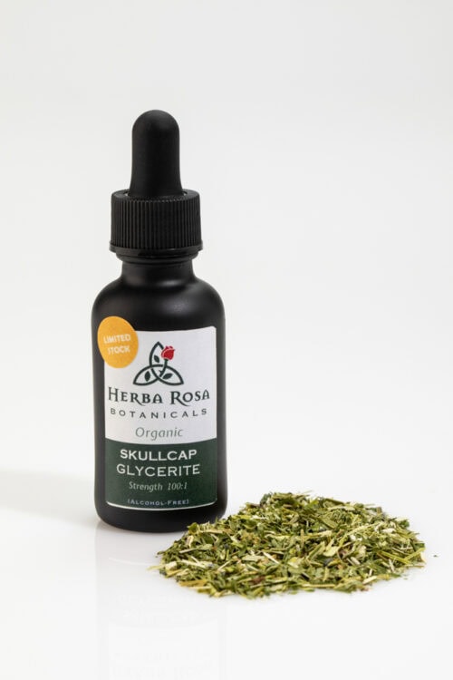A one ounce bottle of Herba Rosa skullcap tincture (alcohol-free) standing next to a small pile of dried skullcap leaves in front of a white background.